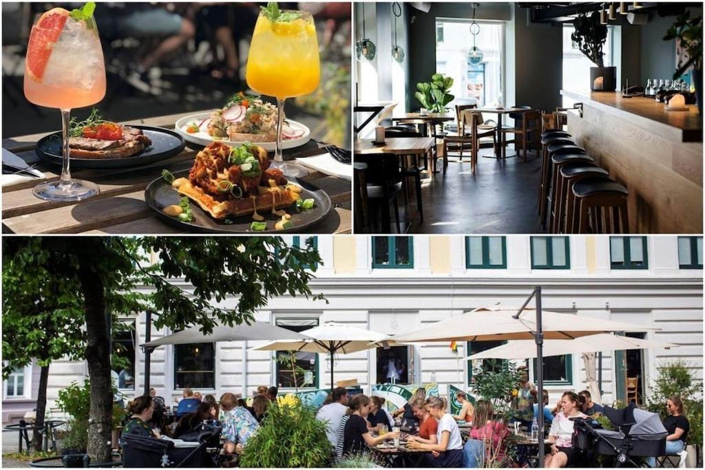 Lovely Central Apartment With Two Large Bedrooms Nearby Oslo Opera, Vis A Vis Botanical Garden Zewnętrze zdjęcie