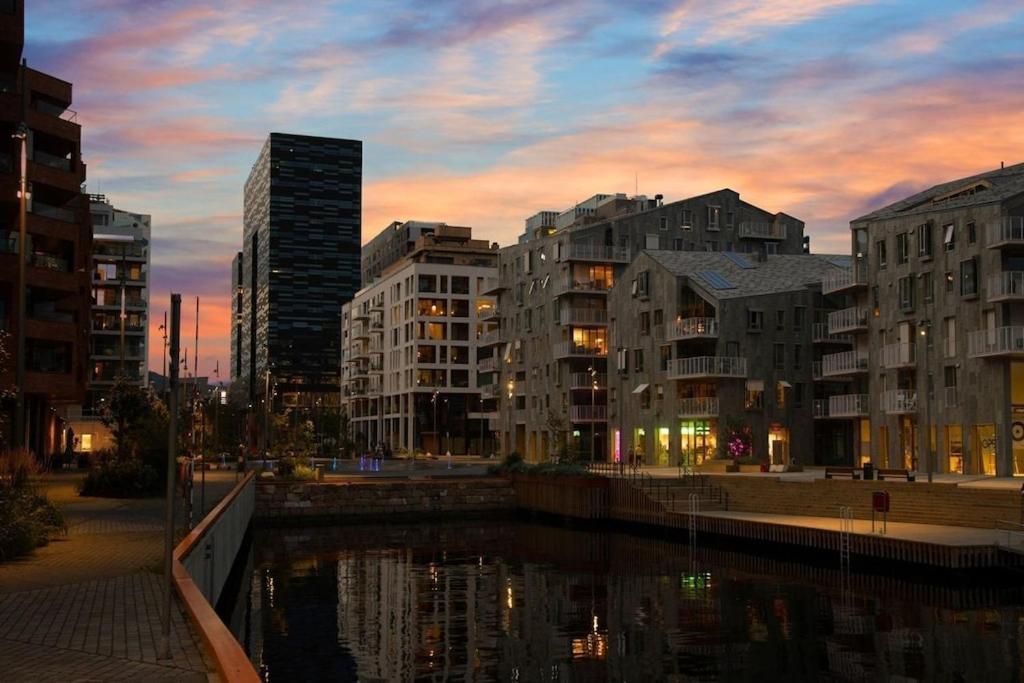Lovely Central Apartment With Two Large Bedrooms Nearby Oslo Opera, Vis A Vis Botanical Garden Zewnętrze zdjęcie